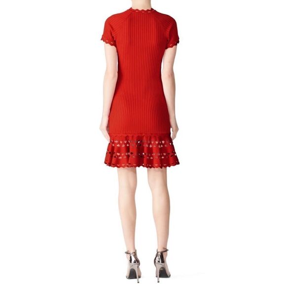 Jonathan Simkhai Knit Zig Zag Dress - Picture 2 of 11